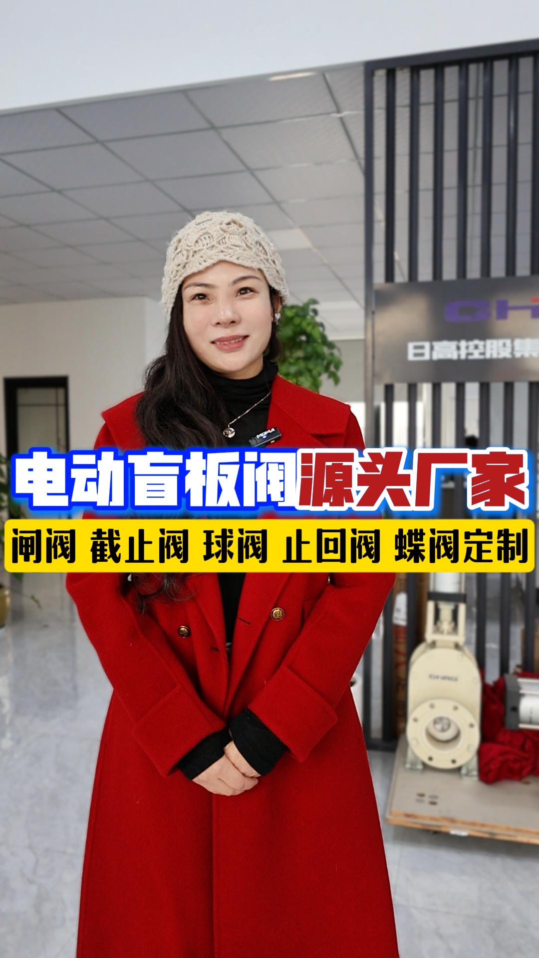 電動(dòng)盲板閥源頭廠家